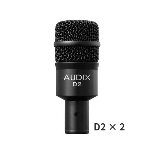 AUDIX D2