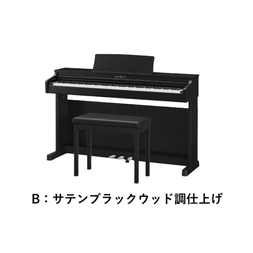 CX202B
