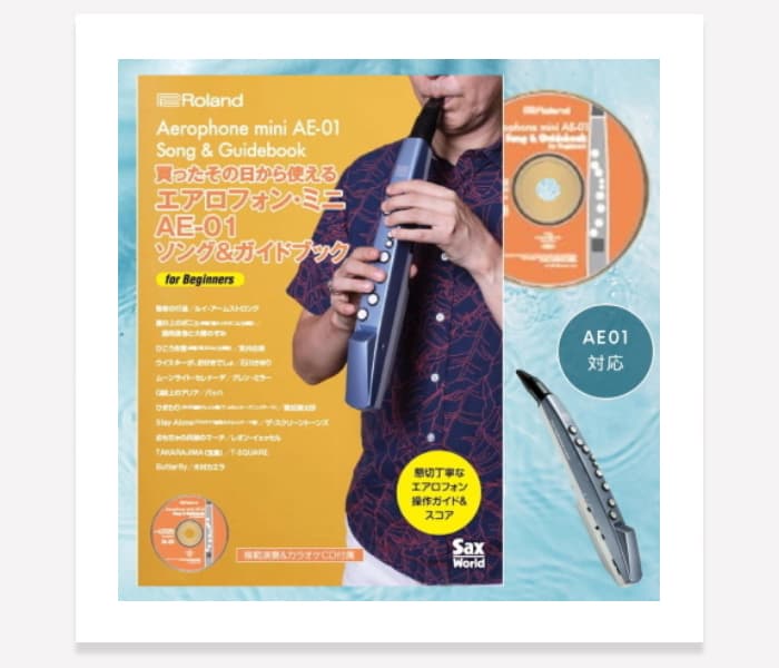 ローランド ソング＆ガイドブック AE-SG04