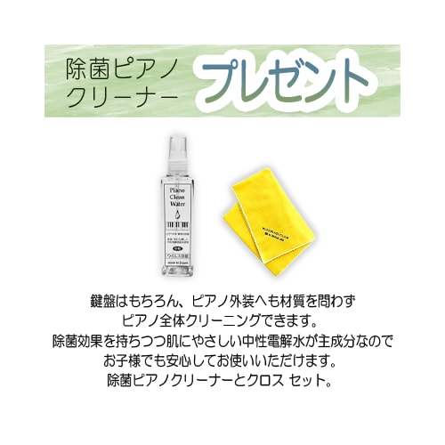 お手入れセットプレゼント