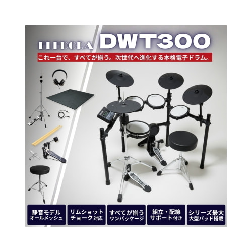 DWT300