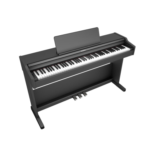 RP107_1