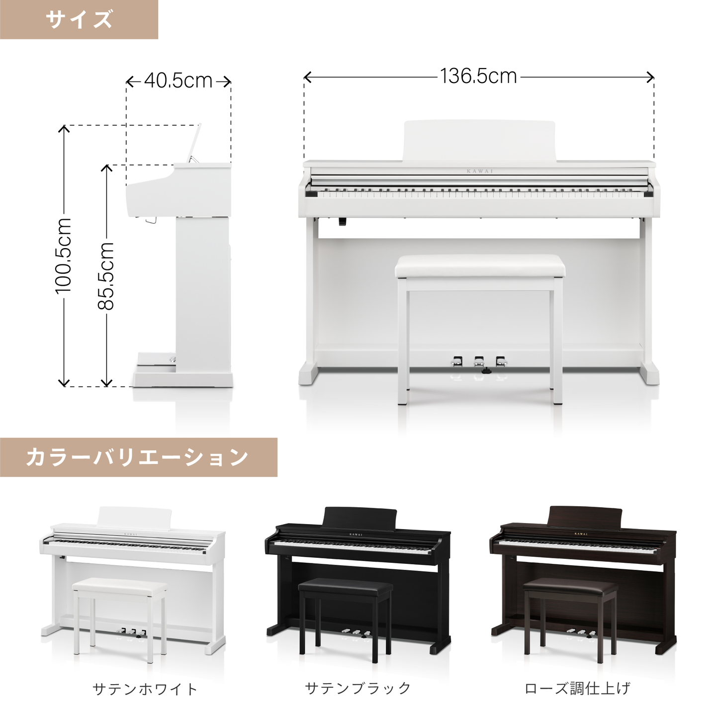 サイズ・カラー
