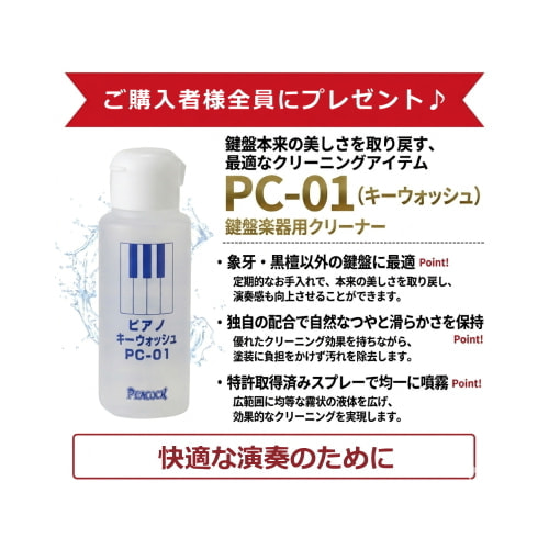 クリーナープレゼント