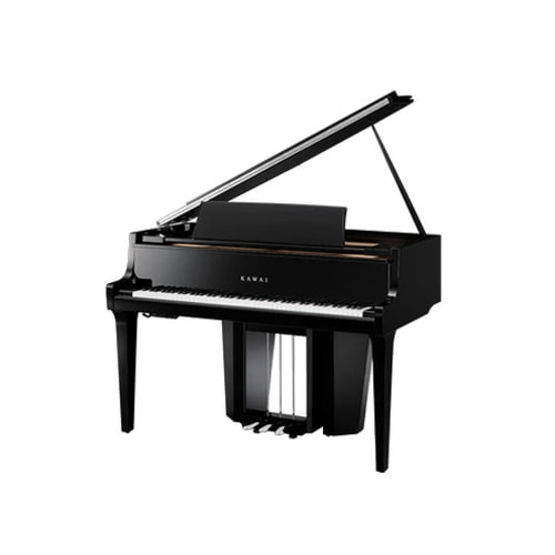 ハイブリットピアノNV12