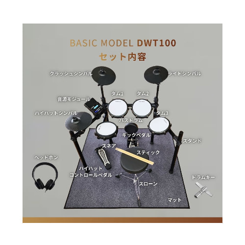 dwt100set1.jpg