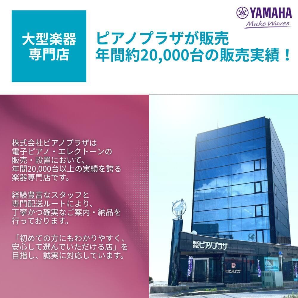 大型楽器専門店
