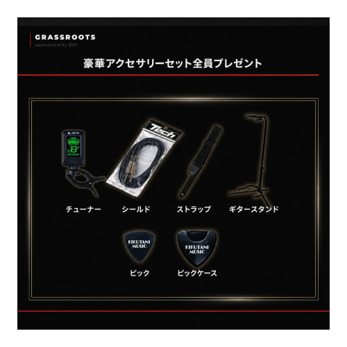 アクセサリーセットプレゼント
