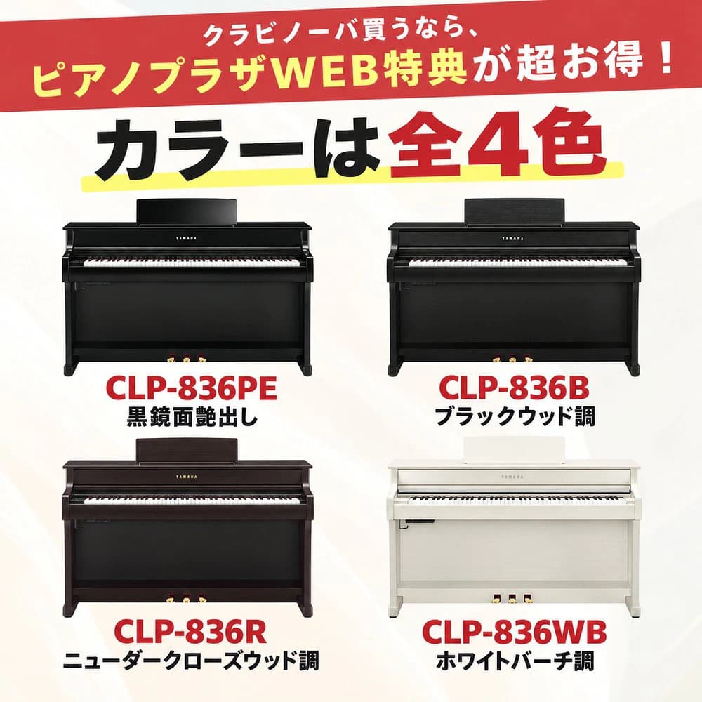 全2カラー