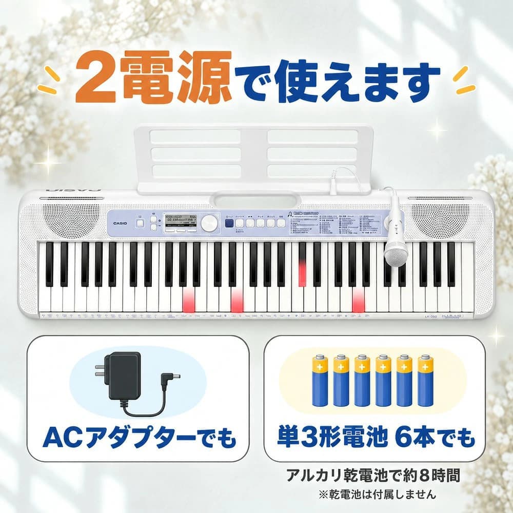 2電源使用可能