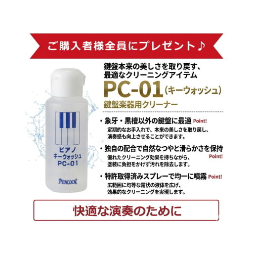 クリーナープレゼント